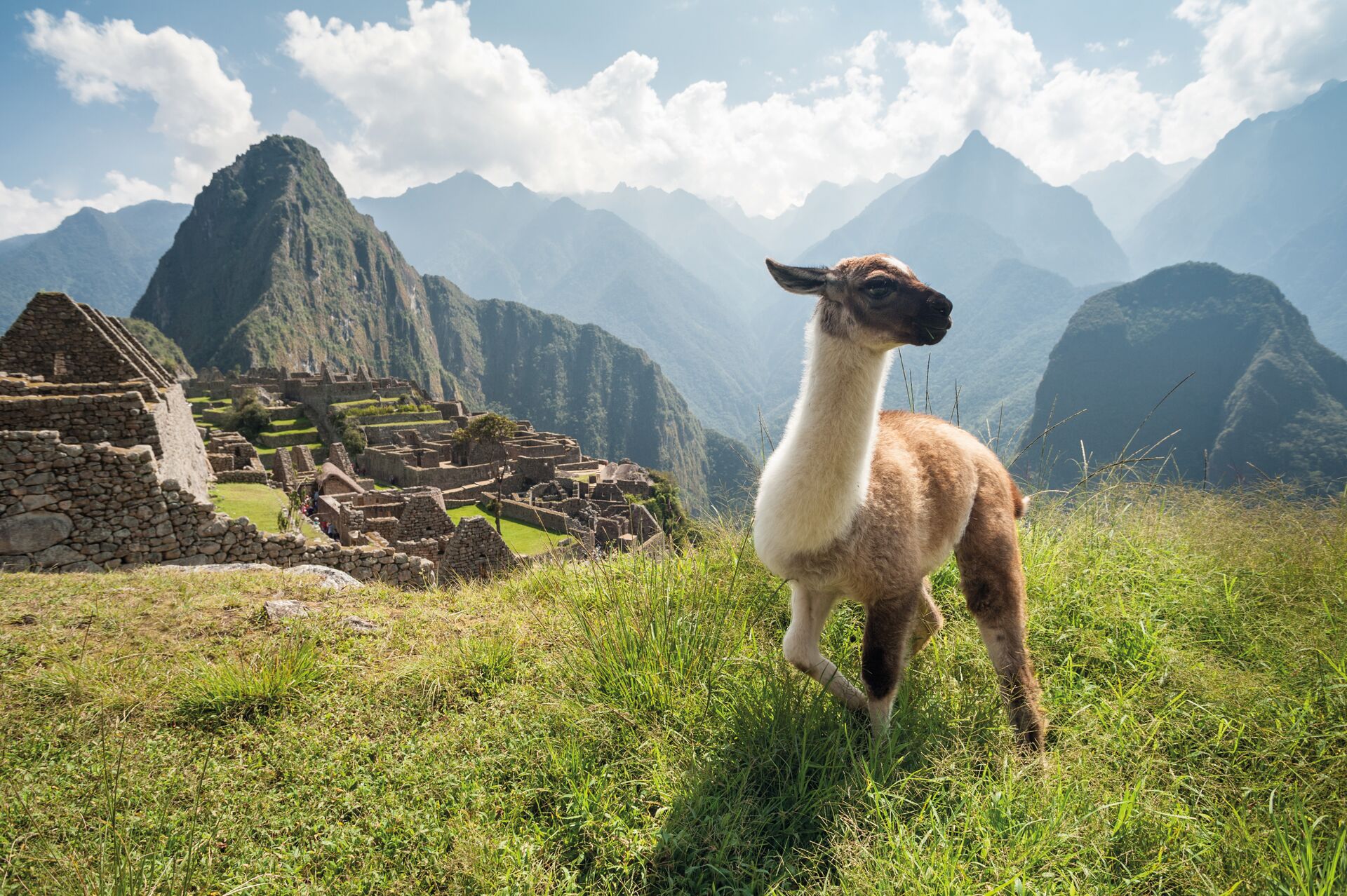 14 Reasons Why You Should Visit Machu Picchu 