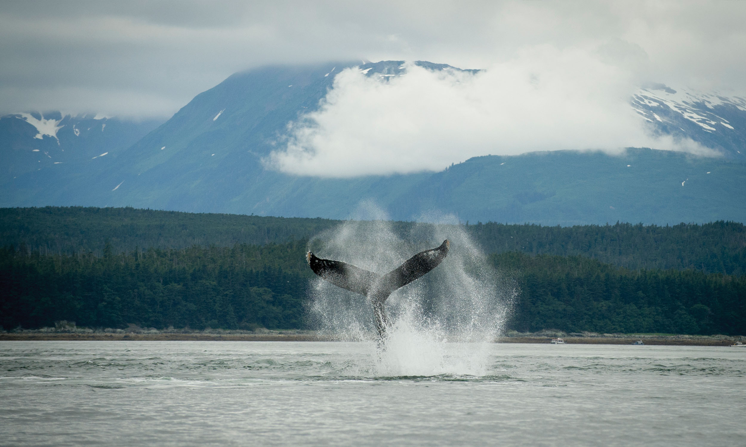 Alaska Fjords & Glaciers | Adventure World Travel | Adventure World