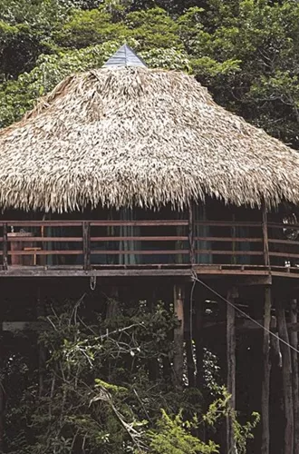 Hut in the Amazon
