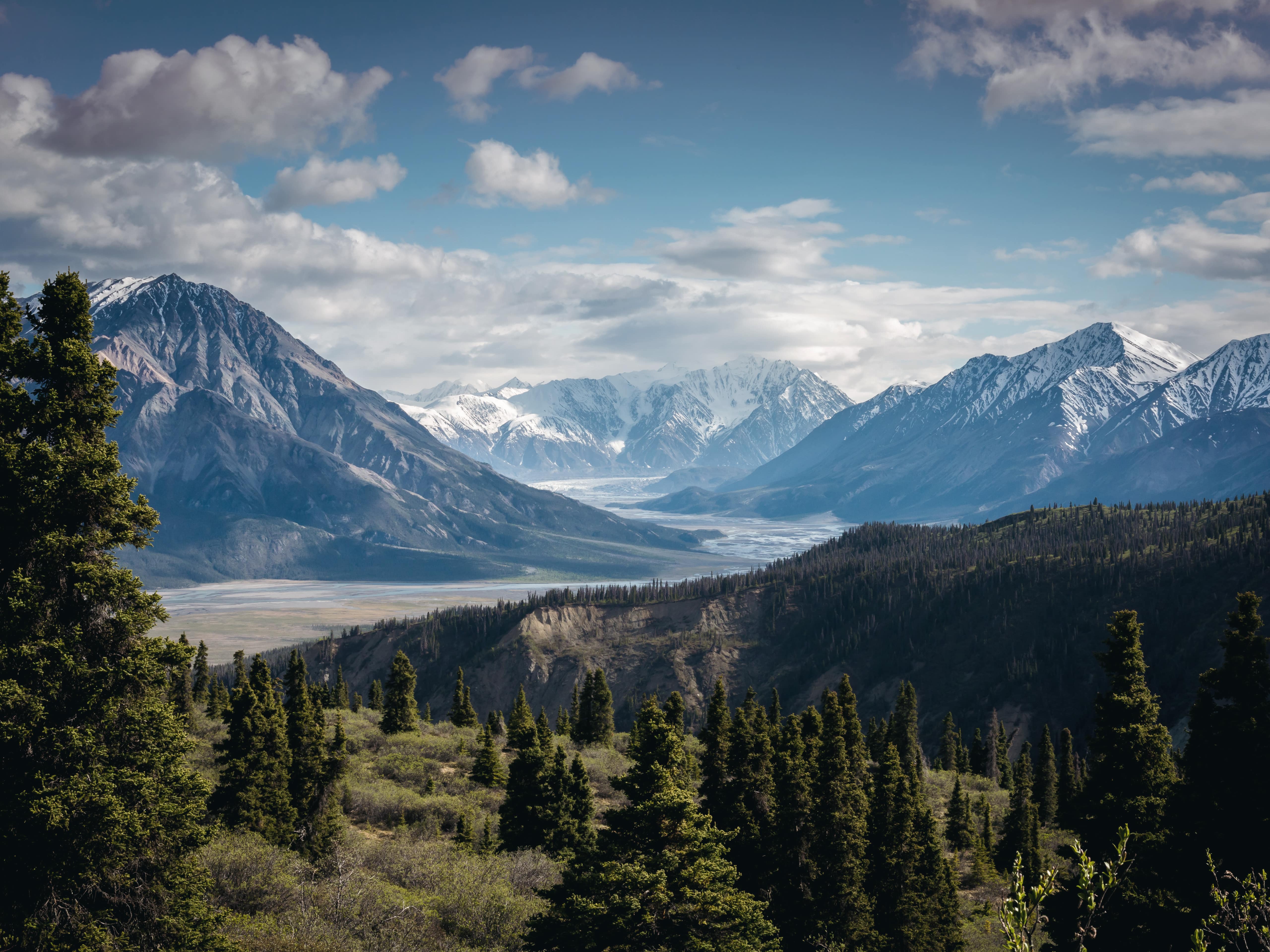 Mountains and forest in Kluane National Park in Canada